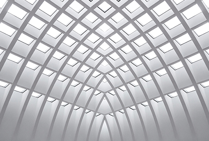 Dr. Caroline O'Brien & Professor Elazer R. Edelman