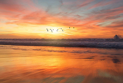 How Afiniti Can Help Facilitate Growth in Insurance