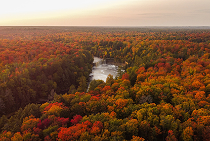 How Afiniti Can Improve Customer Satisfaction in Telecommunications