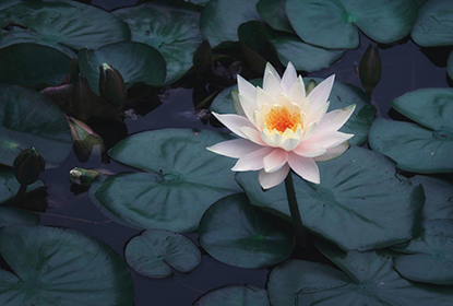 Responsible AI – not sentience